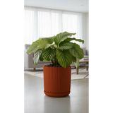 Bliss Lotus Kendinden Tabaklı 5 Litre Saksı Dekoratif Plastik Çiçek Saksısı Modern Çizgili Saksı İç Mekan Dış Mekan Bitki Saksısı