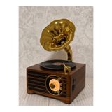 BLOMSTER Everton Rt 603 Gramafon Özelikli Şarjlı Nostajık Radyo Müzik Çalar