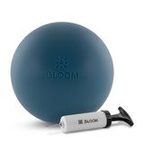 Bloom LB7003 20 cm Mavi Pompalı Premium Pilates Topu