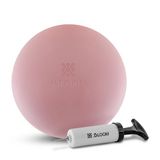 Bloom LB7003 20 cm Pembe Pompalı Premium Pilates Topu