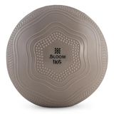 Bloom LB7013-01-GY 1 kg Yumuşak Ağırlık Topu