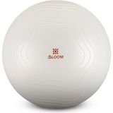 Bloom LB7051 55 cm Beyaz Pilates Topu