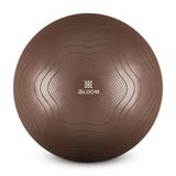 Bloom LB7051 55 cm Kahverengi Pilates Topu