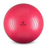 Bloom LB7051 55 cm Pembe Pilates Topu