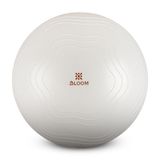 Bloom LB7051 65 cm Beyaz Pilates Topu