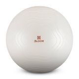 Bloom LB7051 75 cm Beyaz Pilates Topu