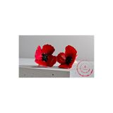 Bloomflorart Kırmızı Gelincik Hafif Çelik Epoksi Küpe