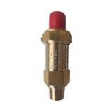 Blue Blr/Sv-Dn 1/2'' 19 Bar Likit Deposu Emniyet Valfi ( 1,9 Mpa Relief Valf)