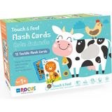 Blue Focus Dokun Hisset Flashcard 12 Kart - Sevimli Hayvanlar