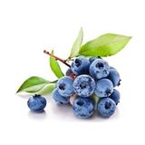 Blueberry-Yaban Mersini Yerli 125 gr