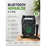 Bluetooth Hoparlör Mikrofonlu Taşınabilir Ses Sistemi Fm Radyo, Usb, Sd Kart Tws Özellikli