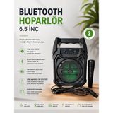 Bluetooth Hoparlör Mikrofonlu Taşınabilir Ses Sistemi Fm Radyo USB Sd Kart ve Tws - COMPTR4769-8 - Çok Renkli