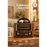 Bluetooth Hoparlör Nostaljik Radyo Speaker Ns02 Altın