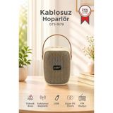 Bluetooth Hoparlör Rgb Işıklı Fm Radyo Kablosuz Taşınabilir Speaker Gts-1679 Bej