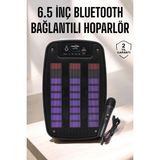 Bluetooth Hoparlör Rgb Işıklı USB Sd Kart Girişli Taşınabilir - Adaçayı Yeşili