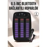 Bluetooth Hoparlör Rgb Işıklı USB Sd Kart Girişli Taşınabilir Nemere