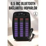 Bluetooth Hoparlör Rgb Işıklı Usb Sd Kart Girişli Taşınabilir P56984s1116
