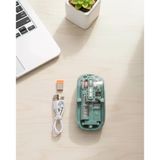 Bluetooth Ve 2.4G Usb Destekli Pilli Kablosuz Şeffaf Mouse