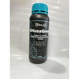 Bmusa Green 1 lt Mikrobiyal Gübre
