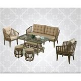BN GARDEN Bn Garden Rattan Albatros Bahçe Mobilyası 3+1+1+ 2PUF+camlı masa