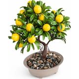 B&Nine Premium Gerçekçi Yapay Limon Bonsai Ağacı - 24 cm Dekoratif Saksılı Yapay Bitki - Sarı