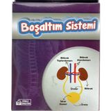 Böbrek Boşaltım Sistemi Deney Seti