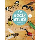 Böcek Atlası - Fatih Dikmen