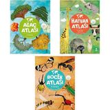Böcek Atlası - Hayvan Atlası - Ağaç Atlası + Harita 3 Kitap Set
