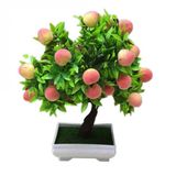 Bodur Bonsai Şeftali Ağacı Tohumu 1 Tohum+Saksı+Toprak+ Toh