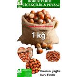 Bodur tarım Bulancak Giresun Yağlısı Kabuklu Kuru Fındık Kuru Yemiş 1 Kğ Lık Paket Kendi Mahsülümüzdür - 1 kg