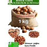 Bodur tarım Bulancak Organik Giresun Yağlısı Kabuklu Kuru Fındık Kuru Yemiş 1 Kğ Lık Paket Kendi Mahsülümüzdür - 1 kg