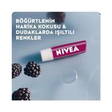 Böğürtlen Dudak Bakım Kremi 4.8 Gr+ Kadın Sprey Deodorant & Invisible Clear 150 ml - Option-1