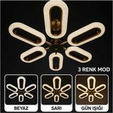 Bohem Aydınlatma 6Lı Elips Gold 3 Renk Led Modern Avize Beyaz/Sarı/Günışığı