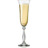 Bohemia Cristal Angela 6 Parça Kadeh Seti Şeffaf Cam Desensiz 190 ml Hacim