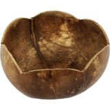 Boho Bazzar Coconat El Yapımı Çerezlik