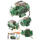 BÖHRER Böhr Qb60b 220v Preferikal 370 Watt 0.55 Hp Santrifüj Pompa Su Motoru