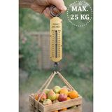 Boldy Analog Valiz Tartısı - Mekanik Bagaj Terazisi - Bavul Tartısı - Mekanik El Kantarı - Mutfak Terazisi - Analog El Tartısı - El Baskülü 25 Kg. - Gold - 25 Kg