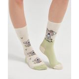Bolero Koala Vibes Eşi Farklı Çorap - 36 - 40 - Çok Renkli