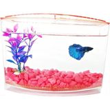 Bölmeli Izgaralı Betta Beta Kabı Tankı Akvaryum 1800 ml - 19X8X13 cm - Yeşil