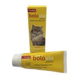 Bolovia Kedi Maltı