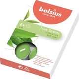 Bolsius Kokulu Tealight Mum, Yeşil Çay Kokulu, Yeşil Renkli, 6'lı Paket, 4 Saatlik Yanma Süresi - Ev