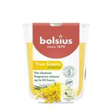 Bolsius Mimosa Kokulu Bardakta Mum - Vegan & Doğal & Saf Koku Özlü -Palmiye Yağı İçermez - 25 Saat Yanma Süresi - Sarı Renkte - 80mm/73mm