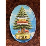 Bolu Temalı Oval Magnet, Gölcük Abant Yedigöller Kartalkaya, Hediyelik Buzdolabı Magneti