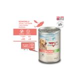 BonaCibo Jöleli Somonlu Yaş Köpek Maması, 400 Gr x 12 Adet