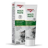 Bonacibo Multi Paste Yetişkin Kediler İçin Multivitamin Malt Macun 100 Gr