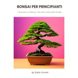Bonsai per principianti: Tecniche e consigli per una cura quotidiana