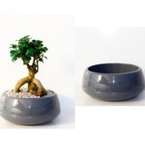 BONSAİ SAKSISI ANTRASİT 2 LT - DRENAJ HAZNELİ