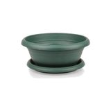 BONSAİ SAKSISI (TABAKLI 6.5 LT) - 1 Adet