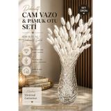 Bontia Kesitli Cam Vazo ve Pamuk Otu Seti – Dekoratif Modern Vazo, Salon & Ofis İçin Şık Hediye