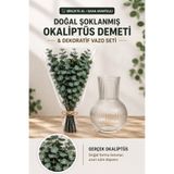 Bontia Şoklanmış Gerçek Okaliptüs Demeti– 4 Ana Dal + Yan Dallı Büyük Demet Okaliptüs ve Dekoratif Cam Vazo
